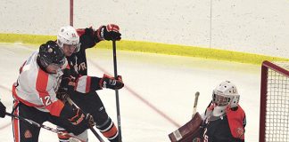 Orioles fall to Tigers; Ochap beats Cougars