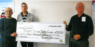 Dysart seniors busy in 2016 with renos to club