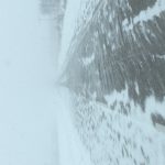 IMG_7546