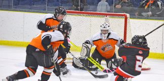 Minor Hockey Day sees local teams take to ice