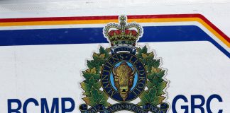 Four adults found dead in Neudorf