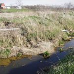 tile-drainage