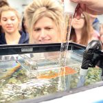 Students learning to raise rainbow trout