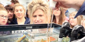 Students learning to raise rainbow trout