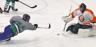 Orioles eliminated from THL playoffs