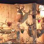 Winners announced at Broadview Wildlife banquet