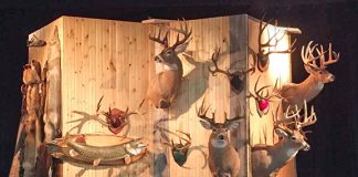 Winners announced at Broadview Wildlife banquet