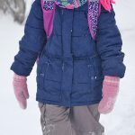 Snowstorm – Walking to School