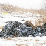 landfill