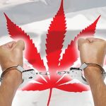 Marijuana to be legalized