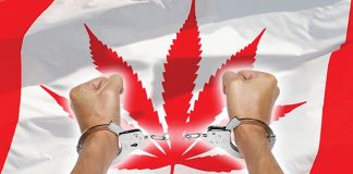 Marijuana to be legalized