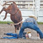 Rodeo – Steer (Lucas Bellegarde)
