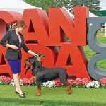 Local Rottweiler named national champion dog