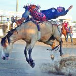 Rodeo numbers up