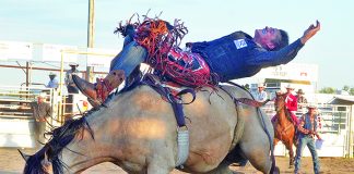Rodeo numbers up