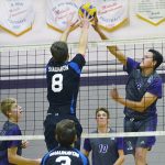 Cobras volleyballers fall short