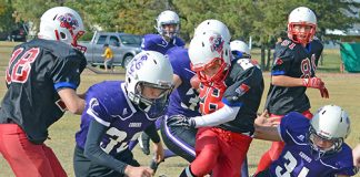Senior Cobras stage comeback to knock off Panthers