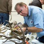 Antlers FtQ