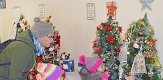 Festival of Trees kicks off Christmas