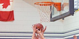 Panthers win MCS hoops tourney