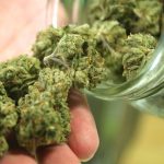 Sask. to move to open market for cannabis retailers