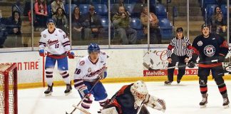 Eisler a rare D-man to score 20 goals