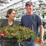 Greenhouses nearly ready for gardening season