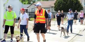 Broadview Lions raise $1,600 with Walk for Dogs