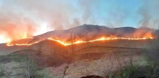Fire departments battle five blazes in three days