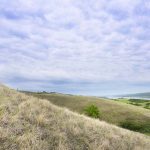 NCC expands conserved habitat area at Pasqua Lake
