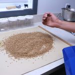 Grain 3