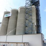 Grain 4b