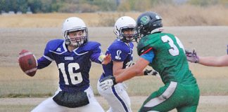 Broadview Bandits come close to defeating Cobras