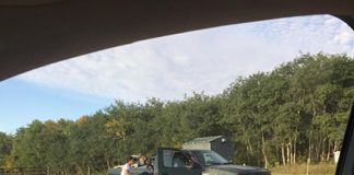 Daylight farm robbery witnessed by family