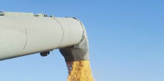 Chinese canola tariff still overshadowing harvest