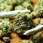 cannabis