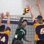 Bison VB Prov