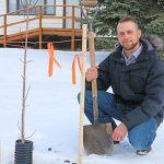 Trees Planted