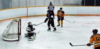 PJHL Wolseley Mustangs split weekend series