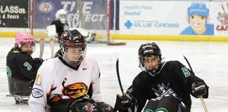 Sledge Dogs get disabled kids involved in sport