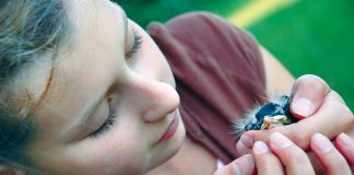 Silverwood Wildlife Centre ready to expand services