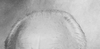 MOHL – Reinhard