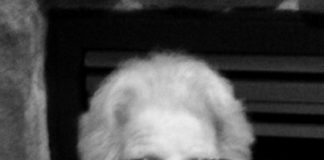 JEANNOT – Helen Pauline