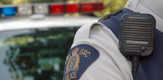 Four adults found dead in Neudorf