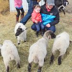 Easter fun day held at DK Acres farm