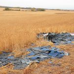 Man arrested for illegal dumping