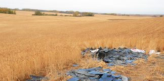 Man arrested for illegal dumping