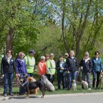 Broadview dog walk raises $1,800 for service dogs