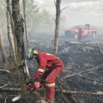 Firefighters battle four day bush fire