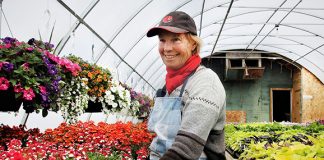 Greenhouses are ready to get you growing